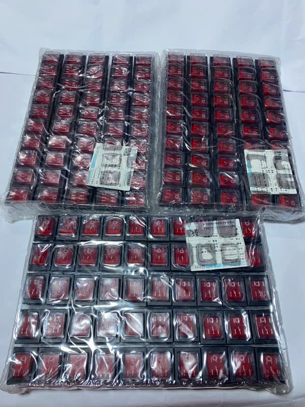 [ELSW-006] Switch 006