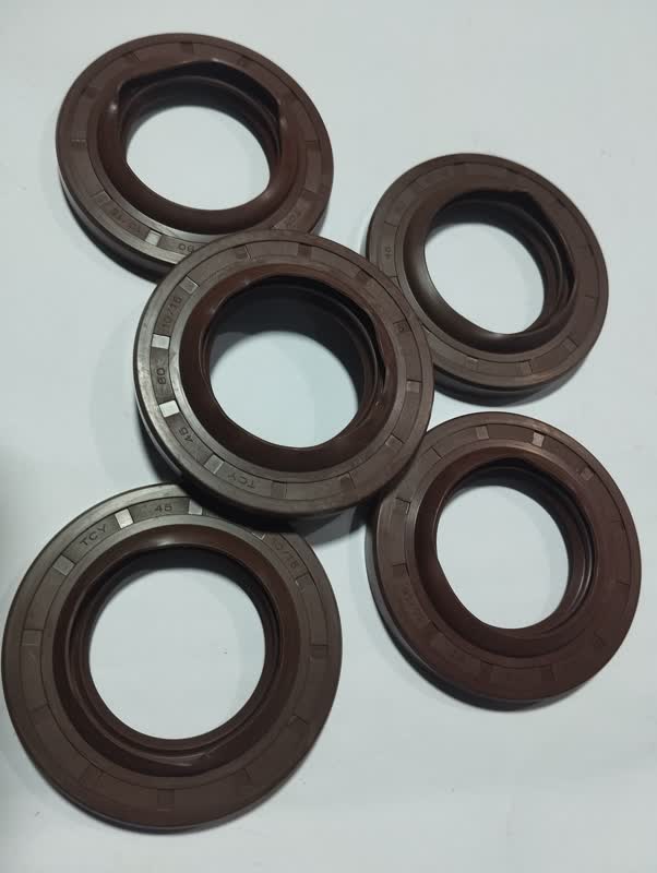 [MEOISE-066] Oil Seal 066