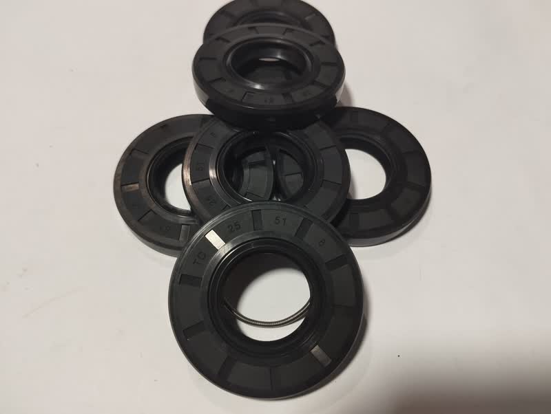 [MEOISE-073] Oil Seal 073