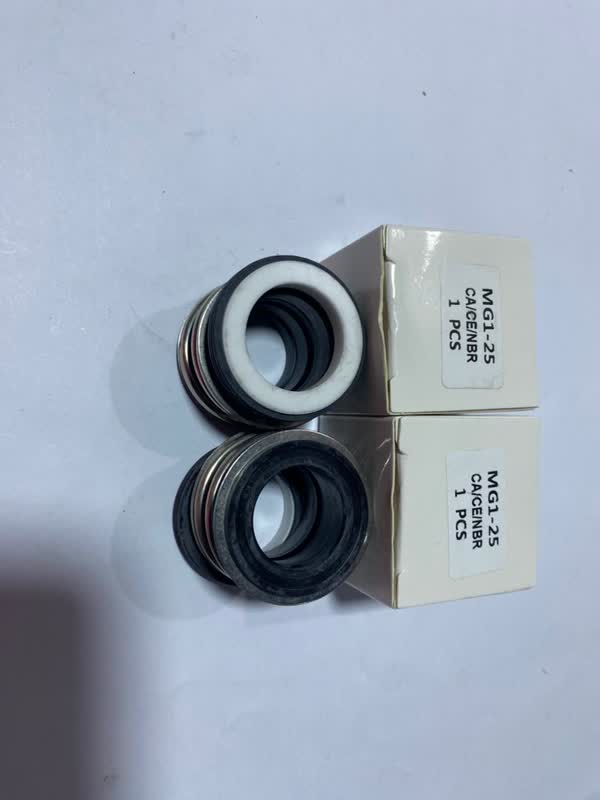 Pump Seal 045
